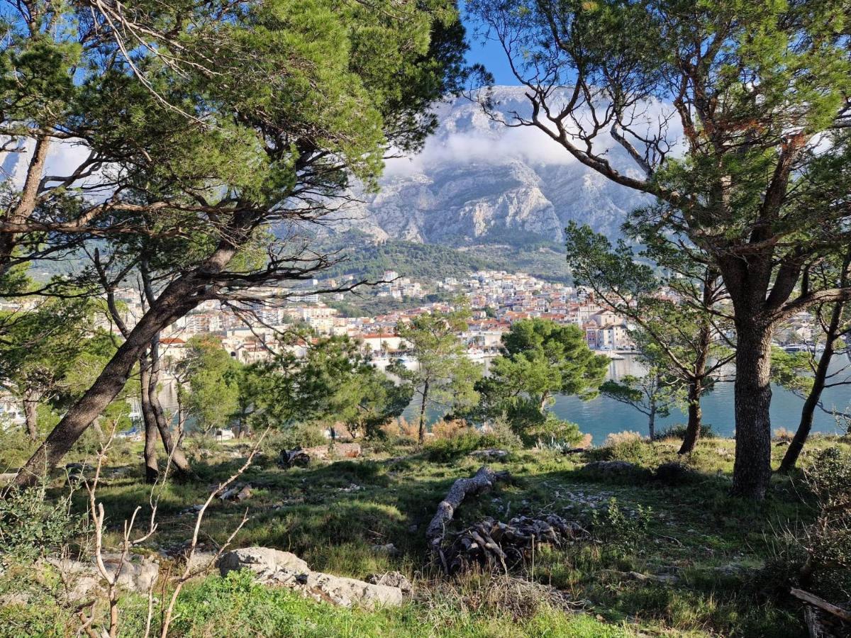 Apartment Villa Mirna Makarska Buitenkant foto