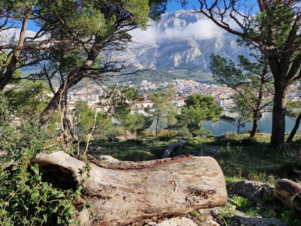 Apartment Villa Mirna Makarska Buitenkant foto